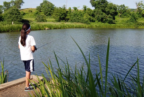 Turner Pond is a great place to catch bass, catfish, and sunfish at Sky Meadows State Park, Virginia