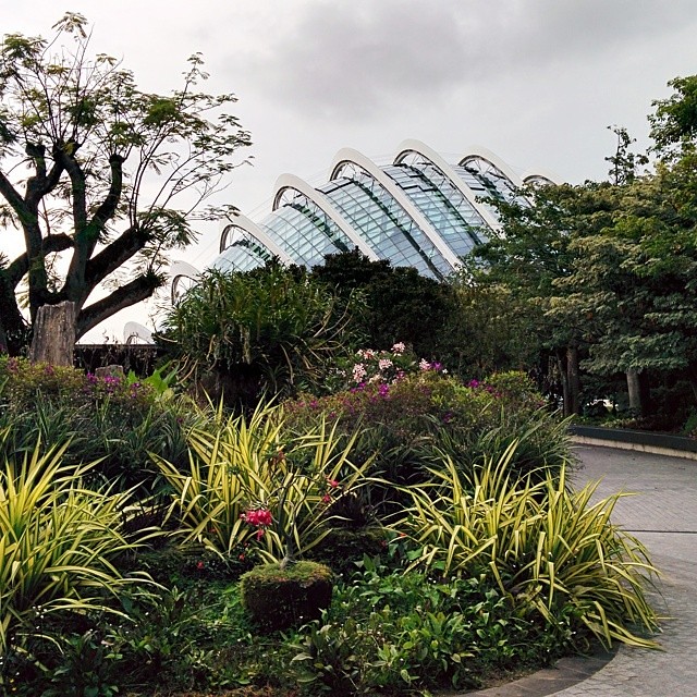 Gardens by the Bay, Singapore.