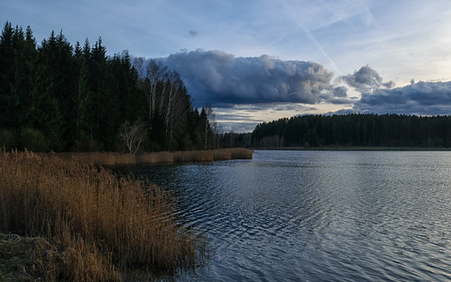 belarus minsk region lake nature landscape беларусь задомля