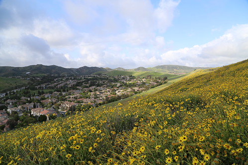 2017 california flower hike simivalley