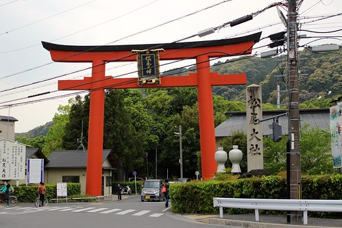 京都：松尾大社 曲宴の庭＆蓬莱の庭（2014.5.3）