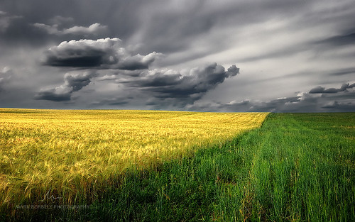 summer storm green clouds landscape golden hungary fields