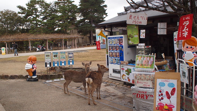 Nara