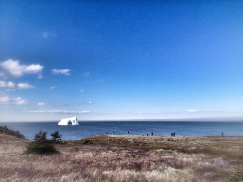 newfoundland iceberg 2014 capespear iphone4s