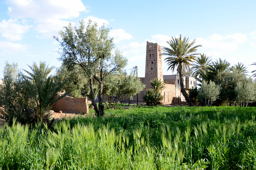 morocco maroc marokko kasbah 2014 palmerie skoura