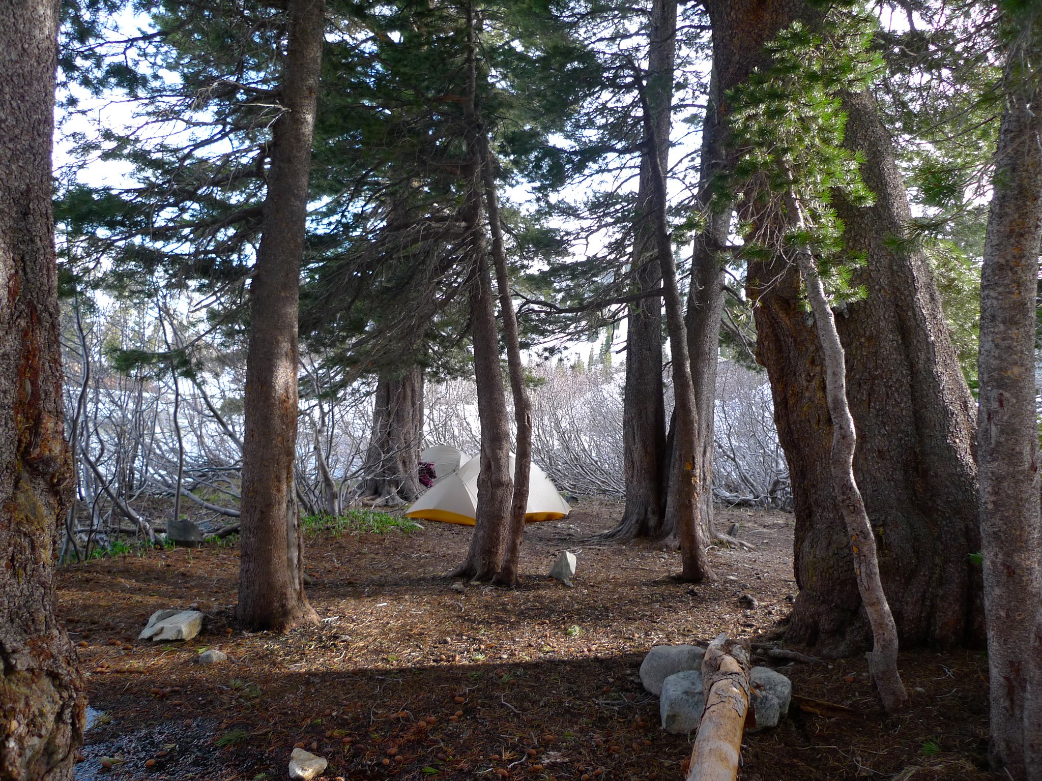 Camp 1 at Heather Lake