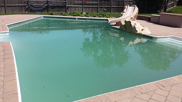 There's been alot of Ammonia pools this year.... | Trouble Free Pool