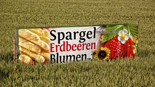 flowers field germany feld strawberries cologne blumen köln schild asparagus spargel erdbeeren