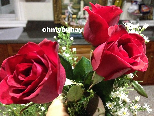 Monthsarry roses