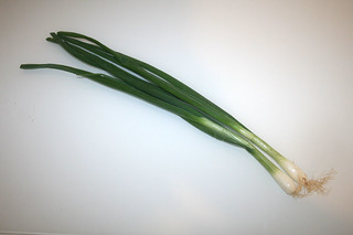 14 - Zutat Frühlingszwiebeln / Ingredient scallions (spring onions)