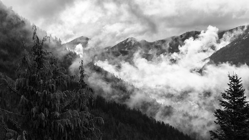 mountains blackandwhite landscape pacificnorthwest mtrainier canon trees clouds fog foggy bw 169 moody canon135mmf2lusm canoneos5dmarkiii washington johnwestrock
