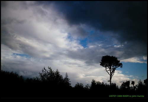 sky france tree clouds eurotrip lonetree 2014 poitoucharentes soletree nanteuilenvallée
