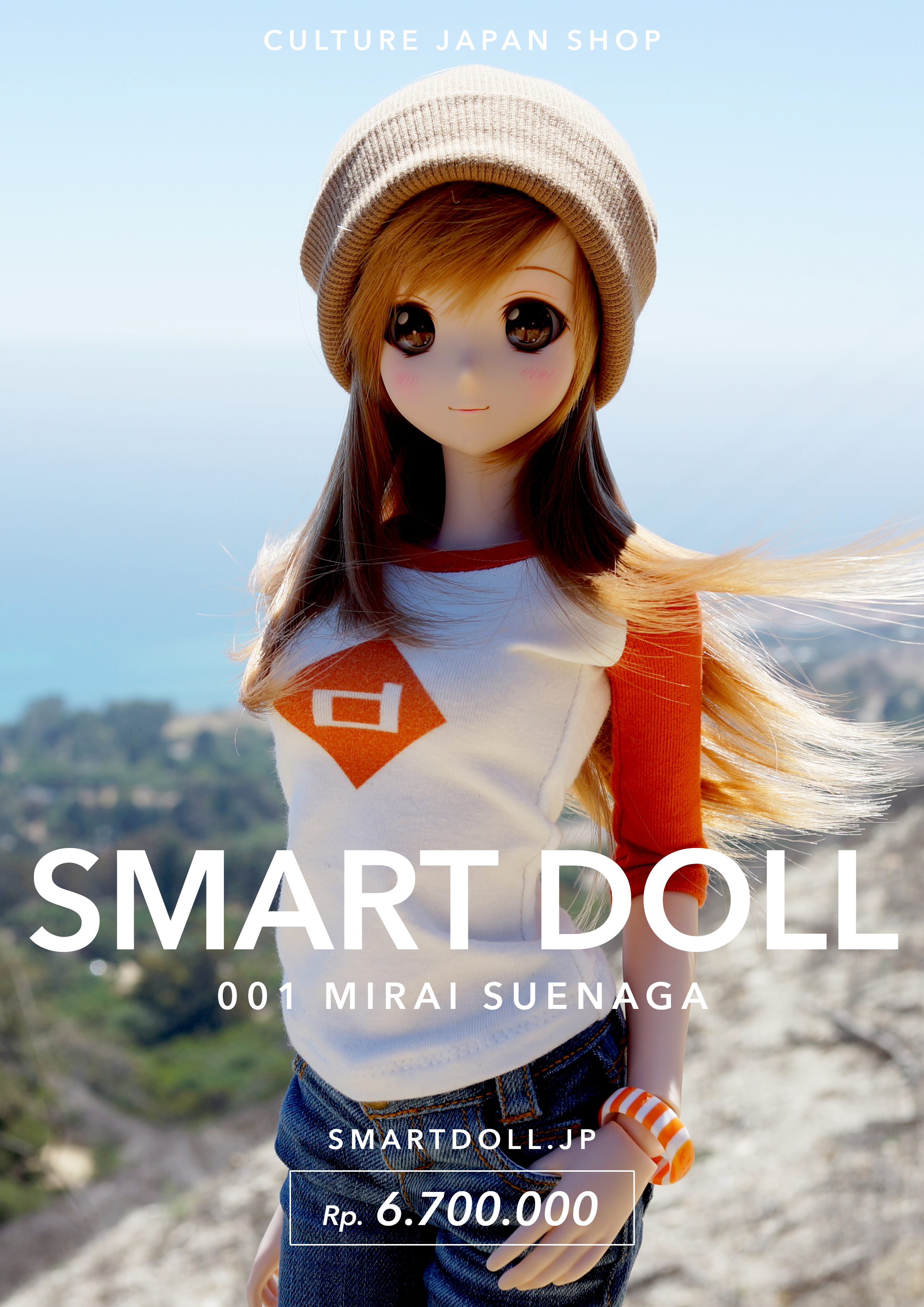afaid2014-guide-doll