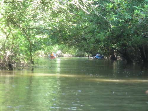 Two kayakers, blurry and far.