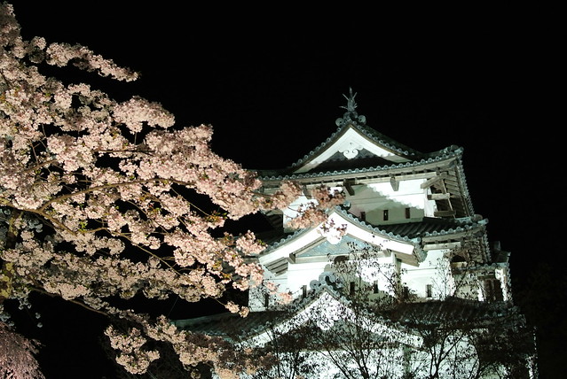 弘前さくらまつり festival of cherry blossoms at Hirosaki 2014年4月29日