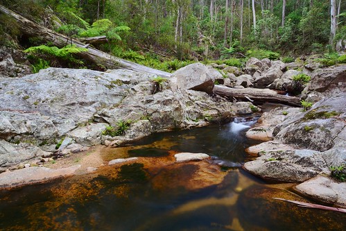 water creek geotagged australia nsw newsouthwales aus southeastforestsnationalpark cattlemanstrack geo:lat=3673900833 geo:lon=14949737833