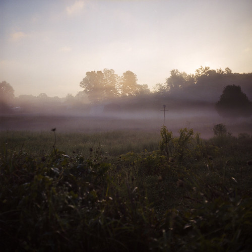 morning mist 120 film field fog sunrise dawn kodak iso400 tennessee birdhouse september portra400nc dayton 2010 colornegative 6x6cm rolleicordiii