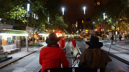Horse Drawn Carriage Ride With A Classic Carriage Co in Melbourne