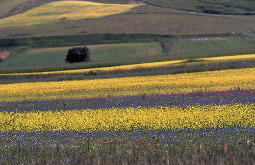 landscape pentax natura paesaggio norcia castelluccio fioritura fabio61