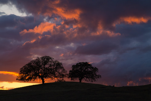 trees sunset night clouds cloudy cincodemayo sanbenitocounty quiensaberoad canon5dmarkiii pwnight
