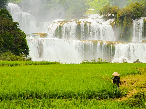 nature landscape waterfall rice vietnam ricefield detian bangioc