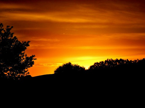 sunset sky españa sun tree sol clouds atardecer twilight spain grove dusk cables wires cielo nubes árbol cantabria anochecer nightfall crepúsculo arboleda zurita piélagos