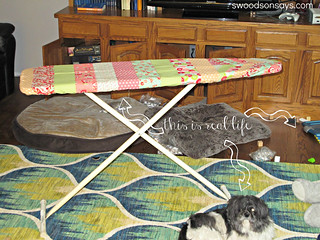 Quilted Ironing Board - Swoodson Says
