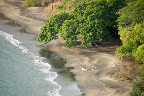 beach coast costarica sony centralamerica guanacaste nex hevanmiller nex6