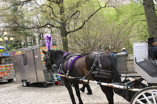 central park carriage ride