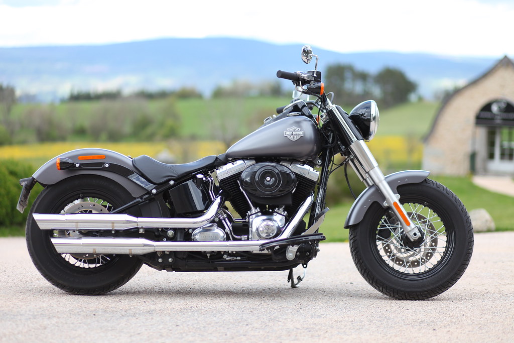 Softail Slim sous tous ses angles ! - Page 3 14145849695_62a2885ffb_b