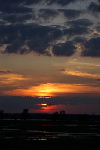 polska poland przyroda nature landscape słońsk wartamouth zachódsłońca zachód sunset pejzaż ujściewarty