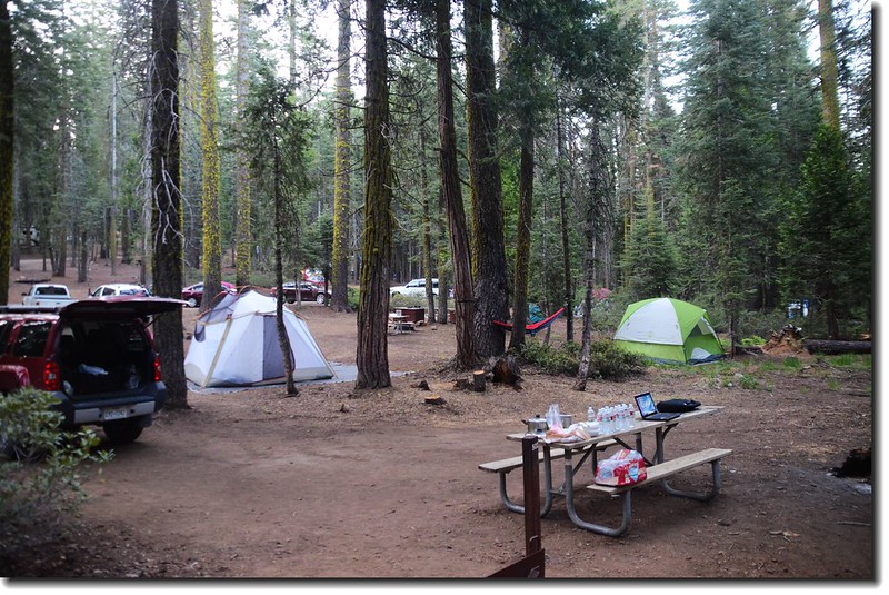 Site 502, Camping at Crane Flat campgroud 1