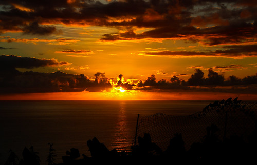 sunset sea sun sol portugal clouds mar pôrdosol madeira bananatree ilhadamadeira núvens calheta bananeiras madeiraisland