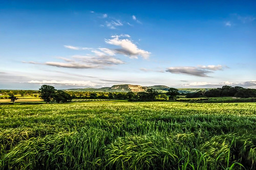 uk countryside nikon view crop vista fields crops viewpoint d5000 iseefieldsofgreen