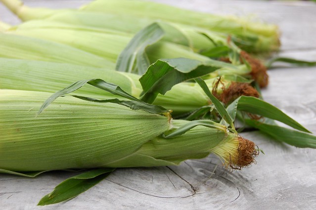 Sweet corn by Eve Fox, The Garden of Eating, copyright 2014
