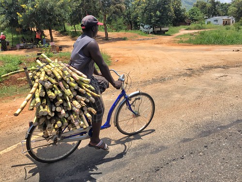 tanzania africa mikuminationalpark safari cane bicycle transport sugarcane