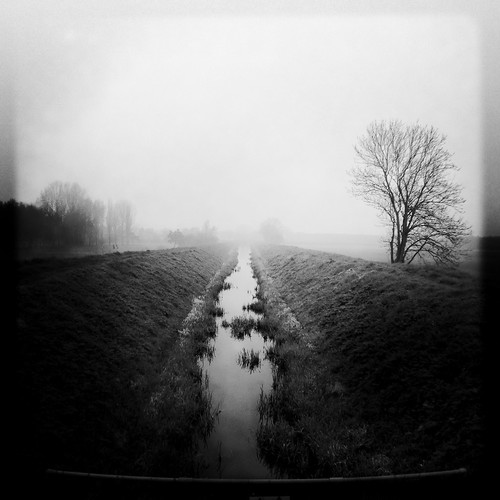 blackandwhite bw mist reflection tree water monochrome silhouette misty fog river square landscape blackwhite foggy drain lincoln iphone iphoneography snapseed oggl procamera7