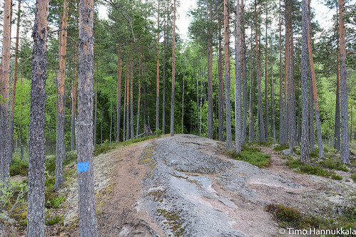 nature finland nikon fi walkingpath ruovesi siikaneva pirkanmaa d7100 soidensuojelualue