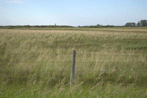 blue sky field grass open wide manitoba prairie boissevain