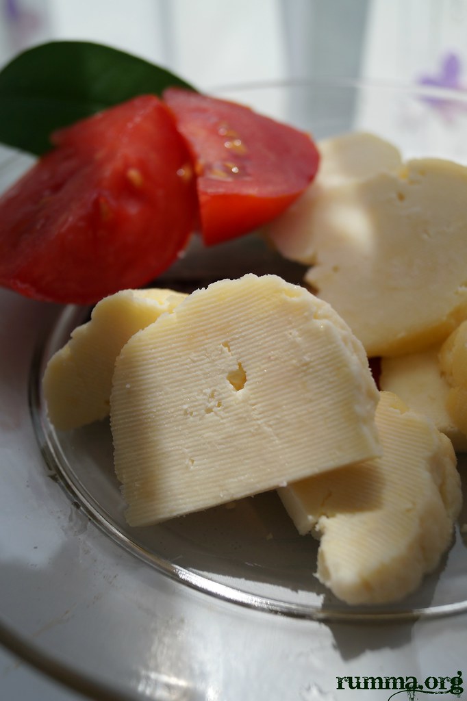 evde peynir yapımı