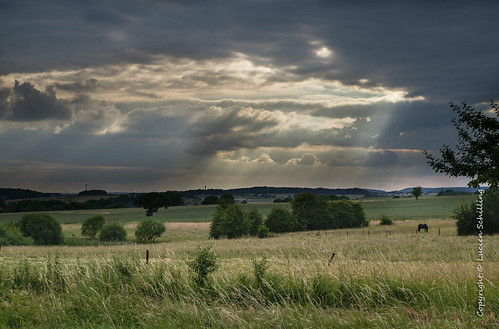 reckangesurmess luxembourg cloud clouds horse grass light ray rays