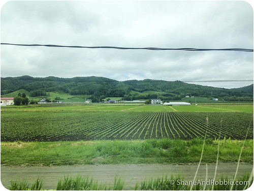 travel japan train hokkaido kitami shiretoko hokkaidoprefecture sharidistrict