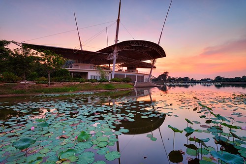 sunset lake reflection lotus sunsetsunrise cyberjaya