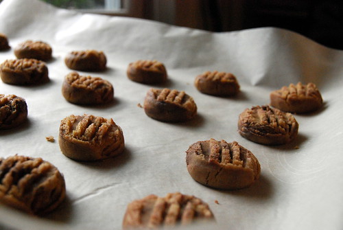 Peanut Butter and Nutella Cookies -ready for the oven-001