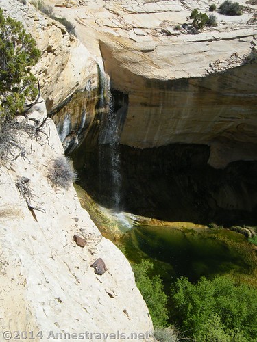 Upper Calf Creek Falls, Grand Staircase Escalnate National Monument, Utah