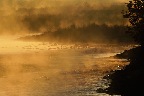 morning landscape fog mist jungle river water dhikala ramganga jimcorbetttigerreserve corbett uttarakhand india canon 5dmarkiv magical misty foggy rains