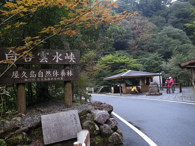 ShirataniUnsui-kyo, 白谷雲水峡, Yakushima