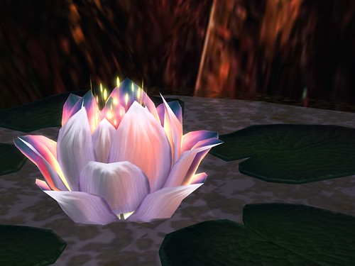 Lotus at Rest