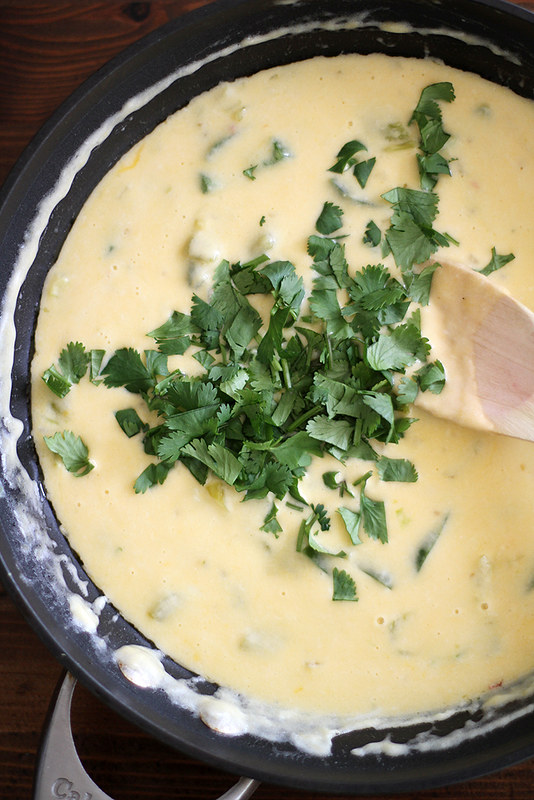 hatch chile queso dip