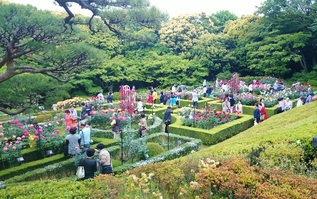 Kyu-Furukawa Garden